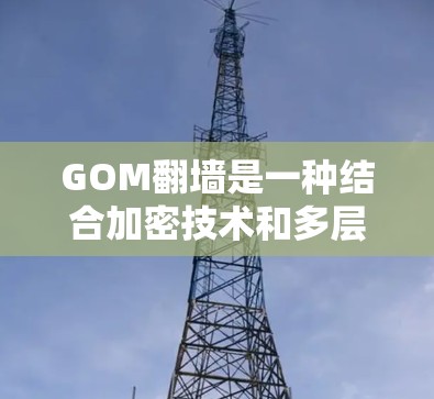 GOM翻墙是一种结合加密技术和多层加密的加密软件，旨在隐藏和加密文件，提供更安全和更隐蔽的文件保护功能。以下是关于GOM翻墙的详细分析