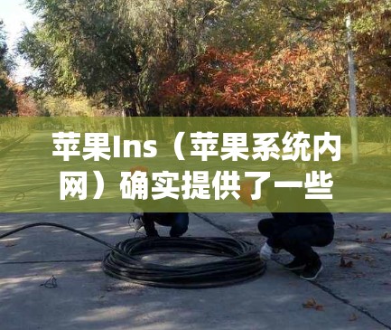 苹果Ins（苹果系统内网）确实提供了一些设备管理功能，包括翻墙。以下是关于翻墙软件的详细信息