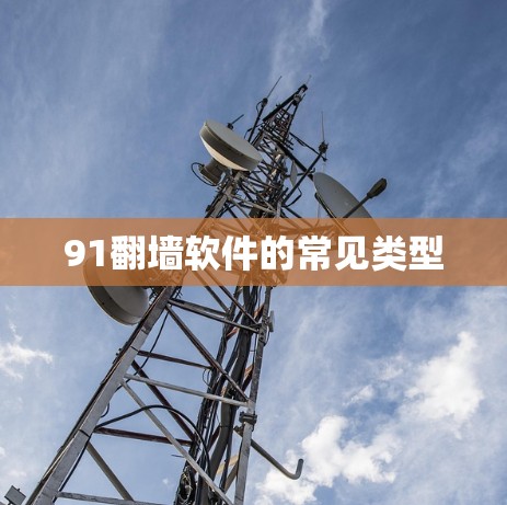 91翻墙软件的常见类型