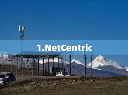 1.NetCentric