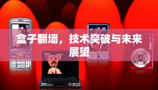 盒子翻墙，技术突破与未来展望