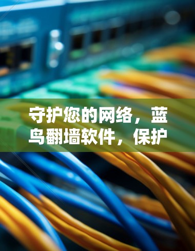 守护您的网络，蓝鸟翻墙软件，保护网络不被攻击