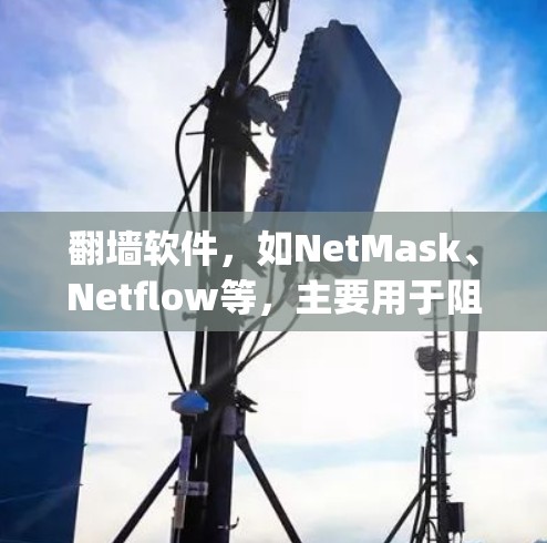翻墙软件，如NetMask、Netflow等，主要用于阻挡互联网流量，防止非法或恶意网站访问。这些软件通过WhichLayer技术识别并阻止特定目标网站的访问流量，保护用户的网络隐私和网络安全