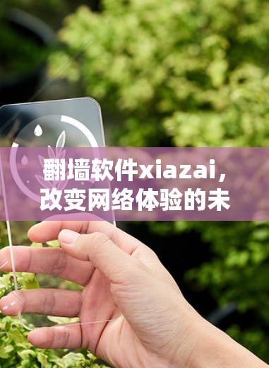 翻墙软件xiazai，改变网络体验的未来解决方案
