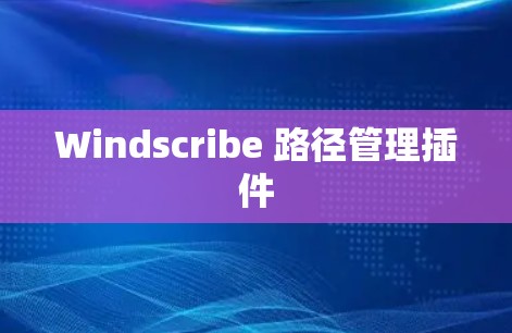 Windscribe 路径管理插件