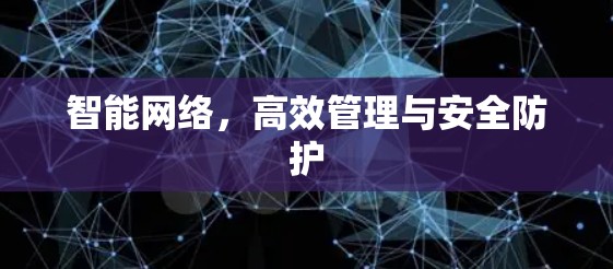 智能网络，高效管理与安全防护