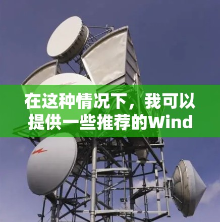 在这种情况下，我可以提供一些推荐的Windows加速器，并解释它们的优缺点，以便用户可以根据自己的需求选择合适的一个