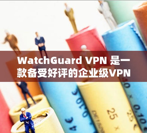 WatchGuard VPN 是一款备受好评的企业级VPN服务，尤其适合需要高安全性、多用户支持和灵活配置的企业用户。以下是对其体验的评测