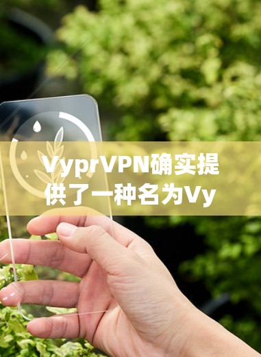VyprVPN确实提供了一种名为VyprVPN Client的官方Windows版本。以下是获取该版本的步骤