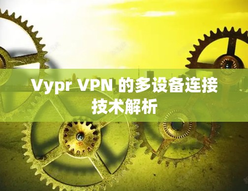Vypr VPN 的多设备连接技术解析