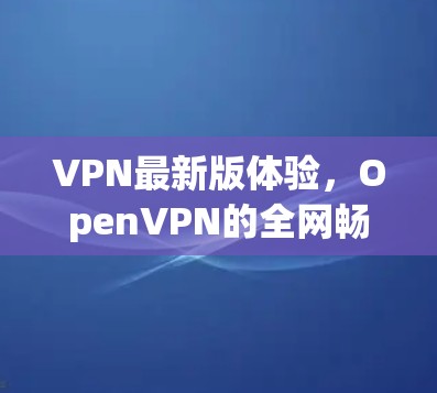 VPN最新版体验，OpenVPN的全网畅享