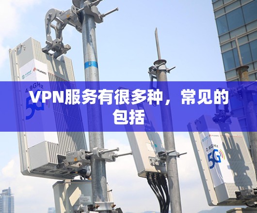 VPN服务有很多种，常见的包括