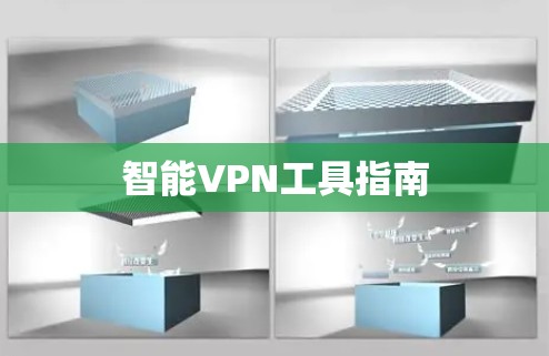 智能VPN工具指南