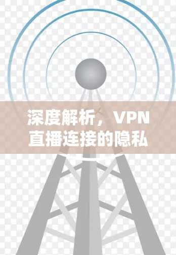 深度解析，VPN直播连接的隐私与安全挑战