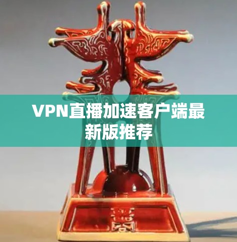 VPN直播加速客户端最新版推荐