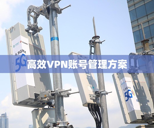高效VPN账号管理方案