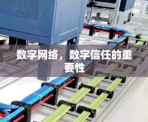 数字网络，数字信任的重要性