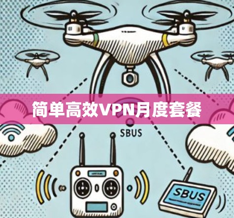 简单高效VPN月度套餐