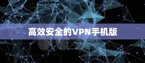 高效安全的VPN手机版