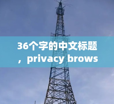 36个字的中文标题，privacy browsing in VPNs:the tech and privacy issues