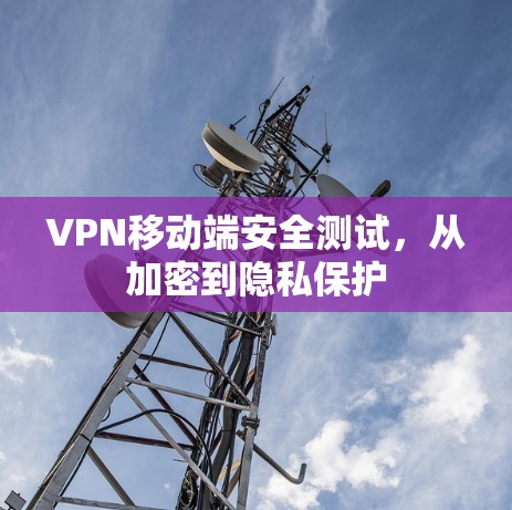 VPN移动端安全测试，从加密到隐私保护