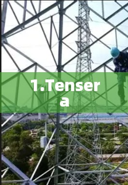 1.Tensera
