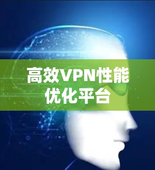 高效VPN性能优化平台