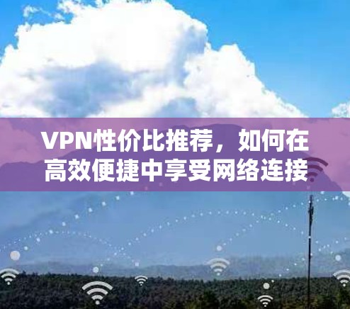VPN性价比推荐，如何在高效便捷中享受网络连接