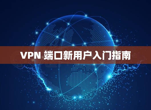 VPN 端口新用户入门指南