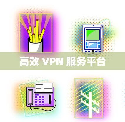 高效 VPN 服务平台