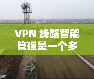 VPN 线路智能管理是一个多维度的项目，旨在通过监控和分析各种因素，确保VPN网络的安全和稳定。以下是对 VPN 线路智能管理的详细总结
