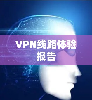 VPN线路体验报告