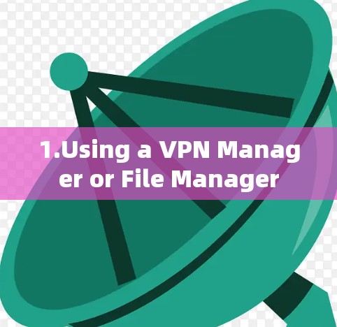 1.Using a VPN Manager or File Manager