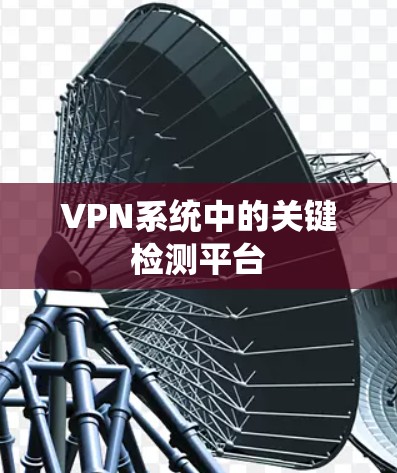VPN系统中的关键检测平台