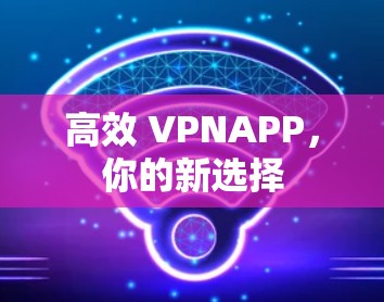高效 VPNAPP，你的新选择