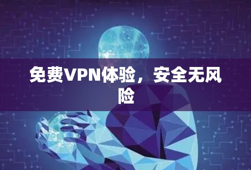 免费VPN体验，安全无风险