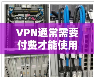 VPN通常需要付费才能使用，价格通常是基于服务器、网络、员工支持等成本计算的。因此，是否可以免费访问VPN取决于具体的提供商和服务类型