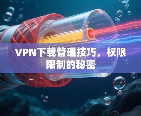 VPN下载管理技巧，权限限制的秘密
