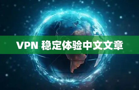 VPN 稳定体验中文文章