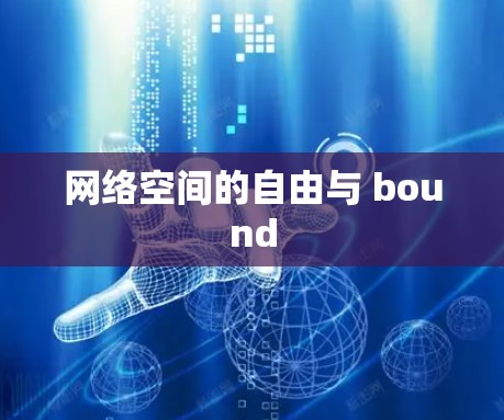 网络空间的自由与 bound