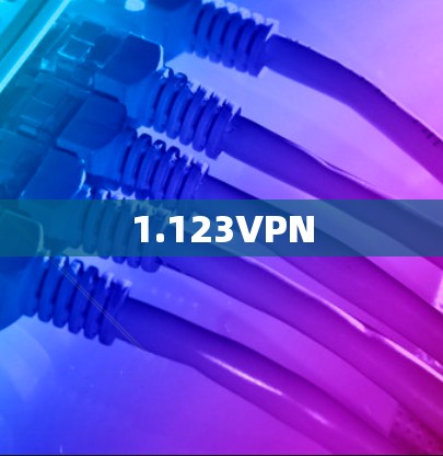 1.123VPN