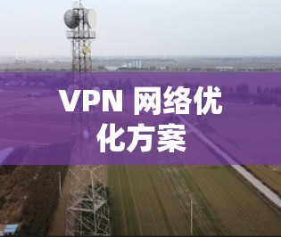 VPN 网络优化方案