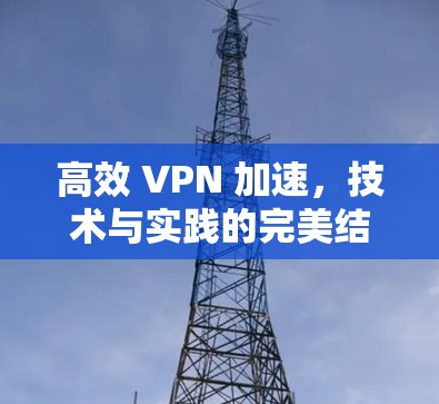 高效 VPN 加速，技术与实践的完美结合