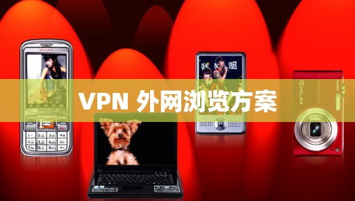 VPN 外网浏览方案