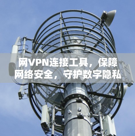 网VPN连接工具，保障网络安全，守护数字隐私
