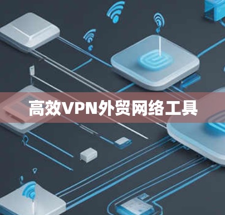 高效VPN外贸网络工具