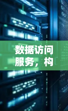 数据访问服务，构建全球网络的基石