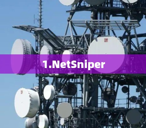 1.NetSniper