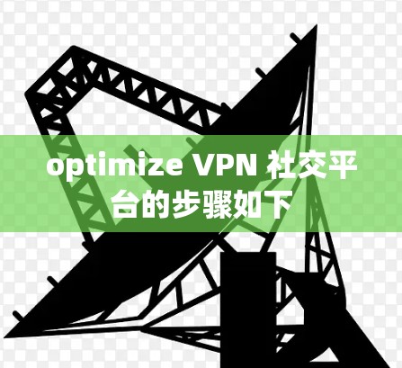 optimize VPN 社交平台的步骤如下