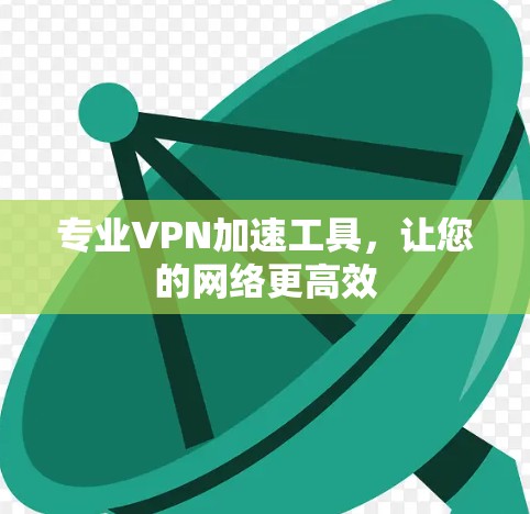 专业VPN加速工具，让您的网络更高效
